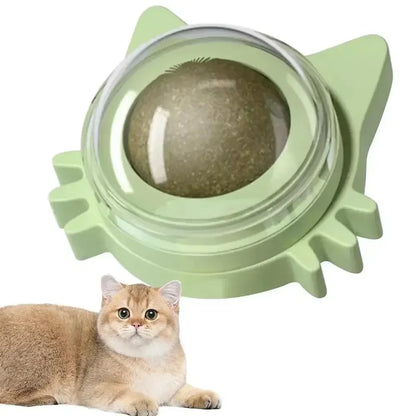 Catnip Wall Spin Ball