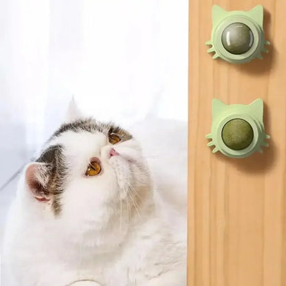 Catnip Wall Spin Ball